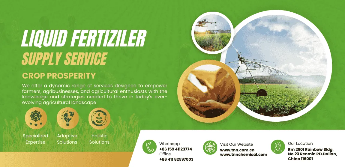 Contact us Contact us